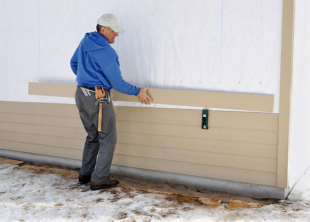 Best Brick Veneer Siding  in Denison, IA